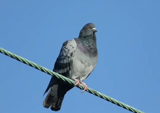 History's Top 10 WTF Moments: The CIA