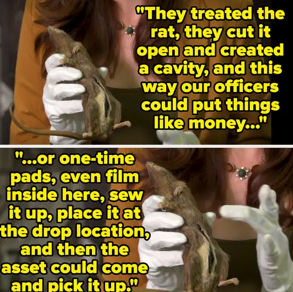  and Secrets Your Teacher Never Told You