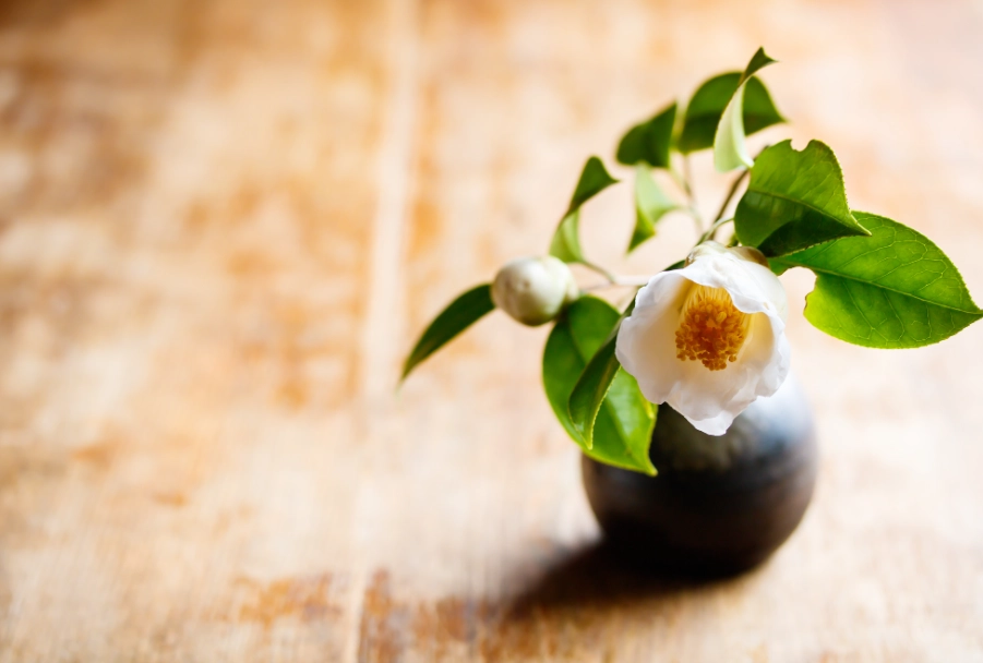 茶花修剪