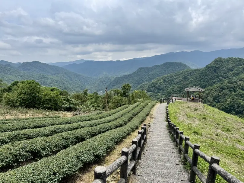 新北坪林